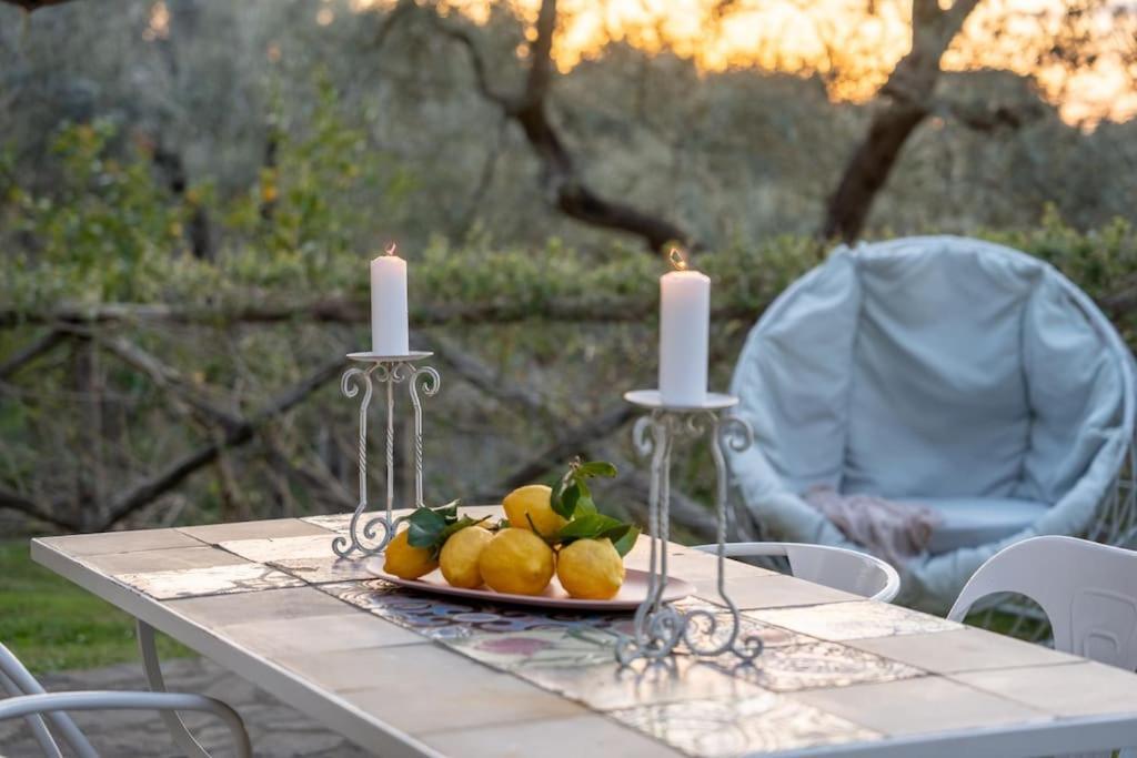 Villa Spacious With Garden&spa Sorrento