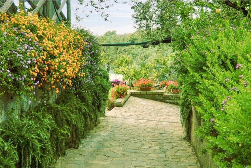 Villa Spacious With Garden&spa Sorrento